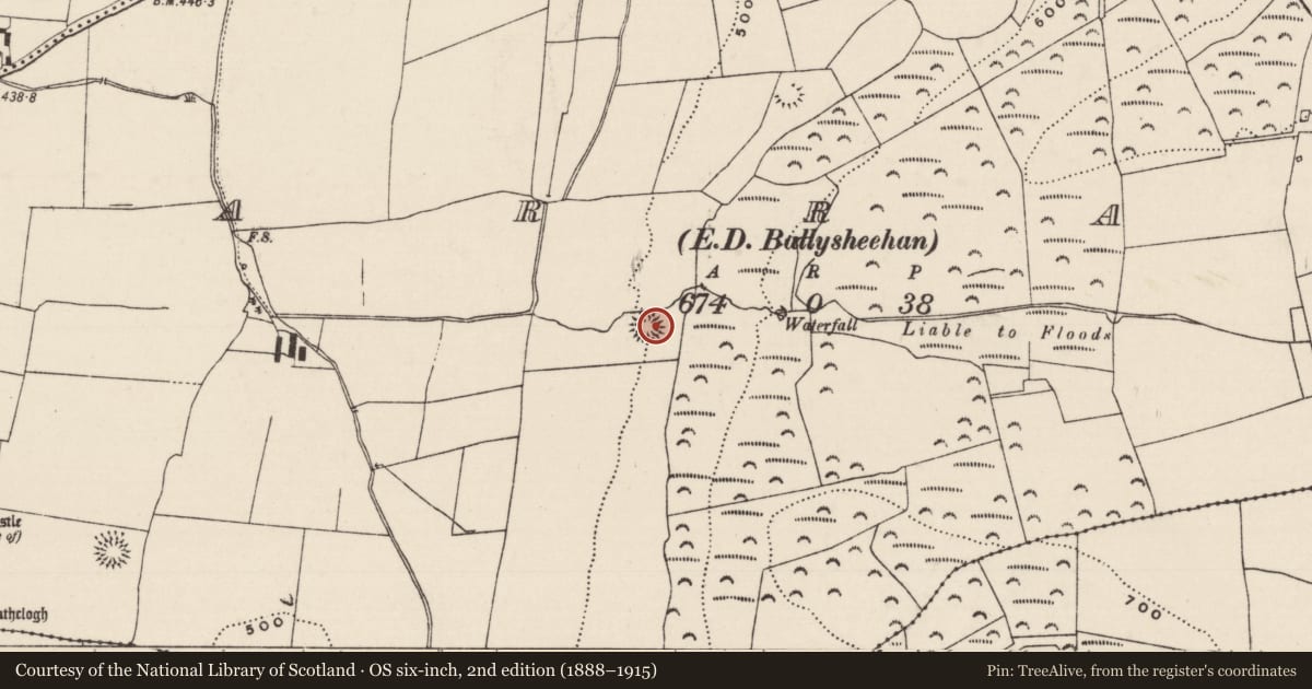 Ordnance Survey six-inch map, 2nd edition (1888–1915) covering the location of Ringfort - rath, Garraun (Ballysheehan Par.), County Tipperary South, with a pin at the register's coordinates