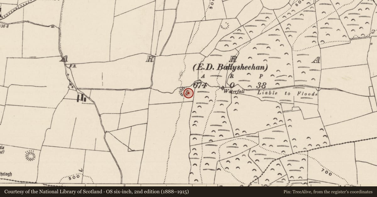 Ordnance Survey six-inch map, 2nd edition (1888–1915) covering the location of House - early medieval, Garraun (Ballysheehan Par.), County Tipperary South, with a pin at the register's coordinates