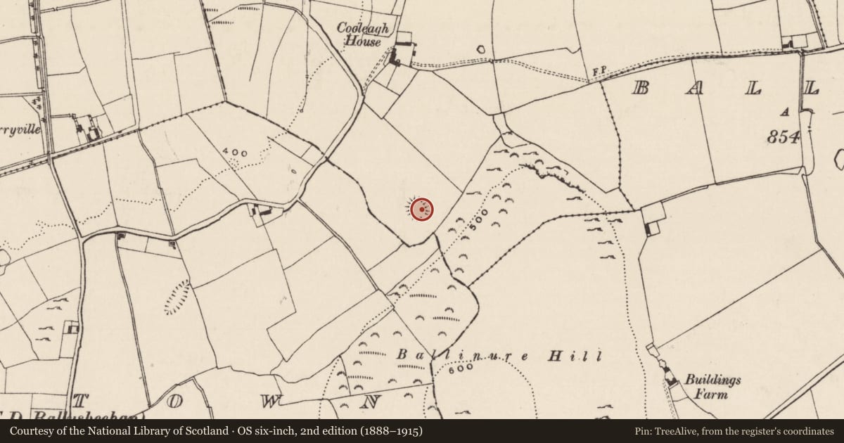 Ordnance Survey six-inch map, 2nd edition (1888–1915) covering the location of Ringfort - rath, Cooleagh (Graystown Par.), County Tipperary South, with a pin at the register's coordinates