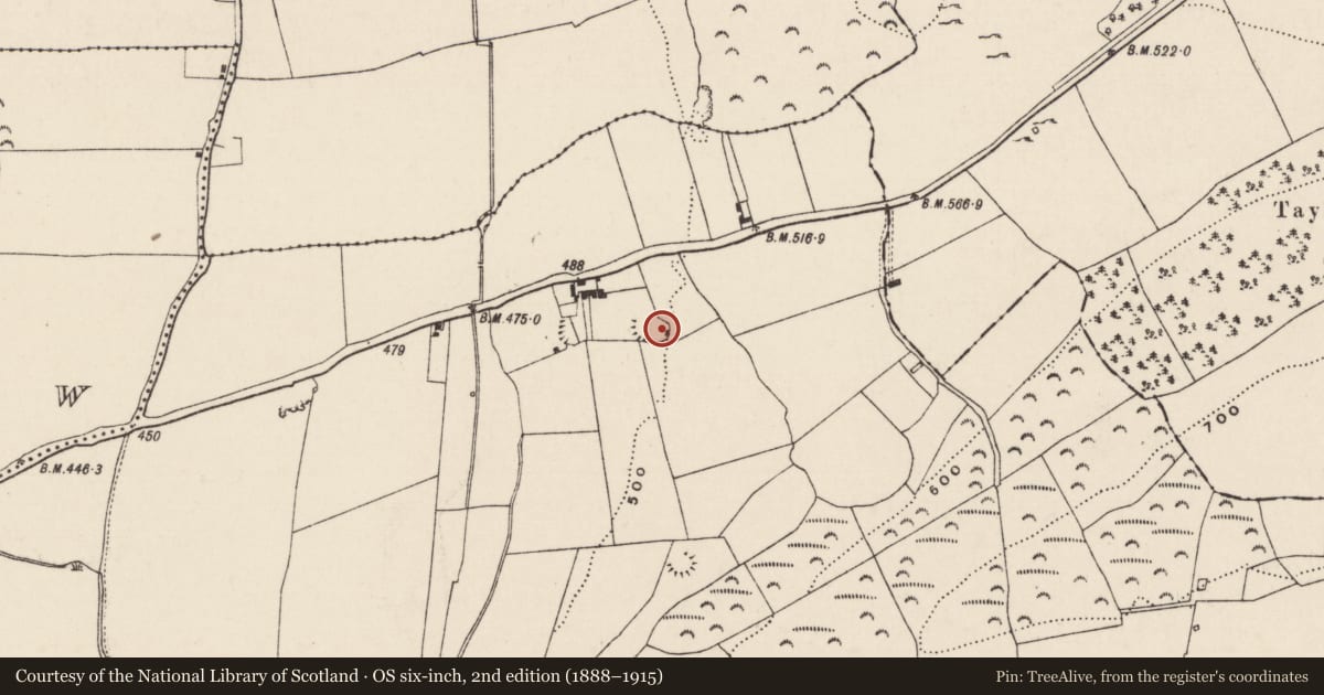 Ordnance Survey six-inch map, 2nd edition (1888–1915) covering the location of Ringfort - rath, Garraun (Ballysheehan Par.), County Tipperary South, with a pin at the register's coordinates