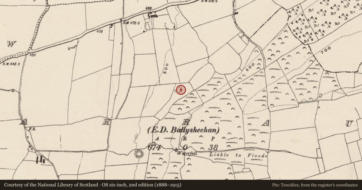Ordnance Survey six-inch map, 2nd edition (1888–1915) covering the location of Ringfort - rath, Garraun (Ballysheehan Par.), County Tipperary South, with a pin at the register's coordinates