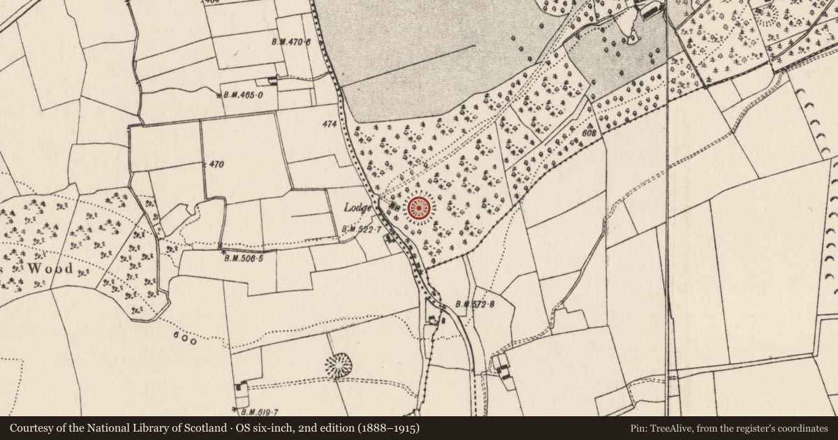 Ordnance Survey six-inch map, 2nd edition (1888–1915) covering the location of Ringfort - rath, Noan, County Tipperary South, with a pin at the register's coordinates