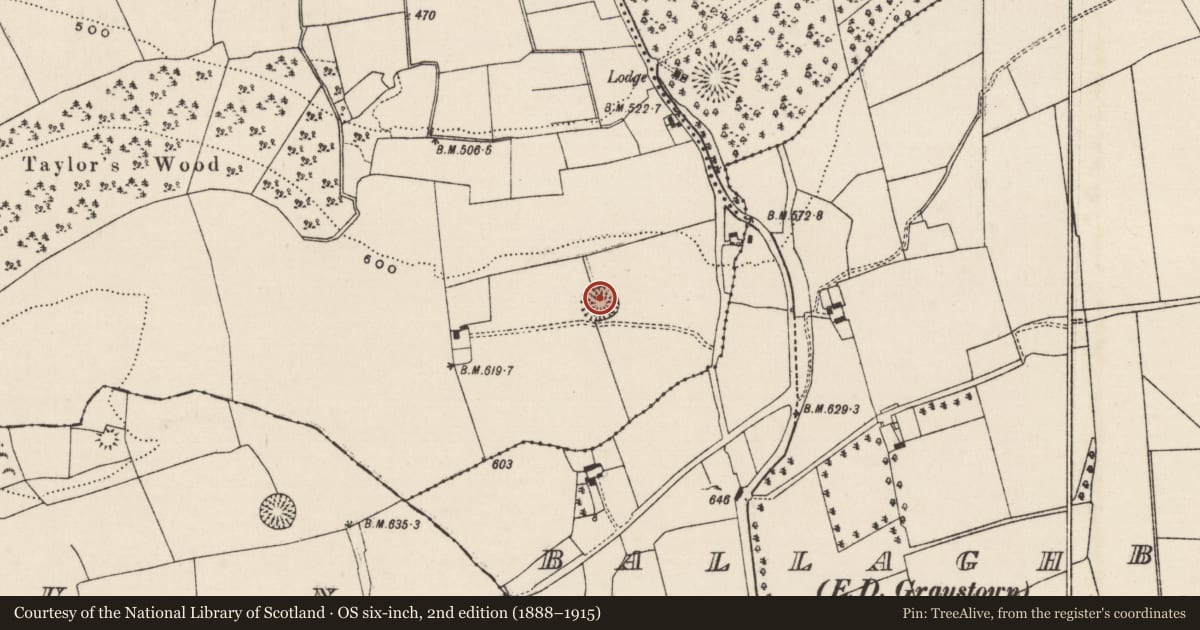 Ordnance Survey six-inch map, 2nd edition (1888–1915) covering the location of Ringfort - rath, Ballinure, County Tipperary South, with a pin at the register's coordinates