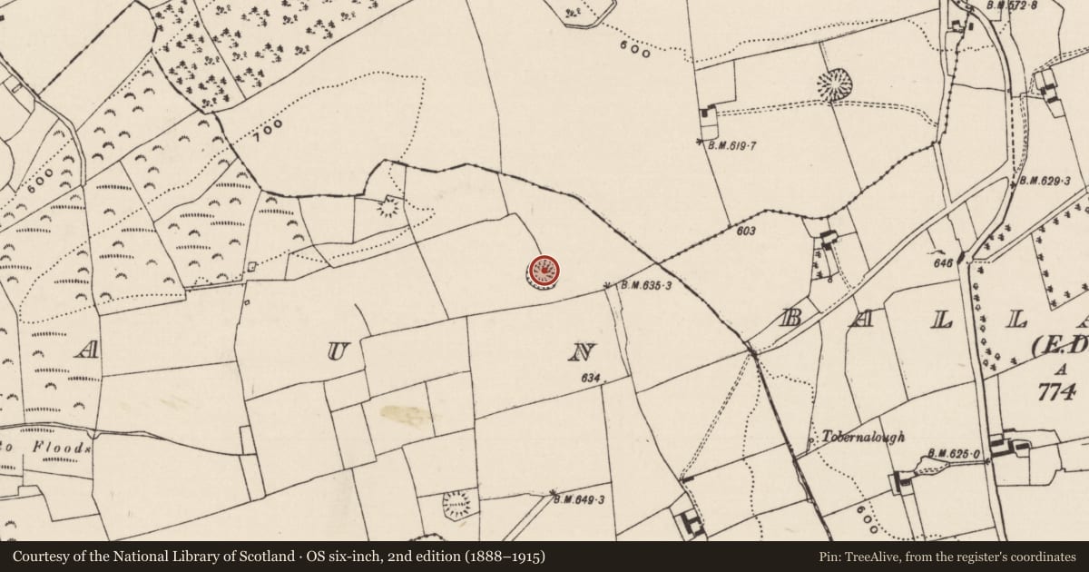 Ordnance Survey six-inch map, 2nd edition (1888–1915) covering the location of Ringfort - rath, Garraun (Ballysheehan Par.), County Tipperary South, with a pin at the register's coordinates