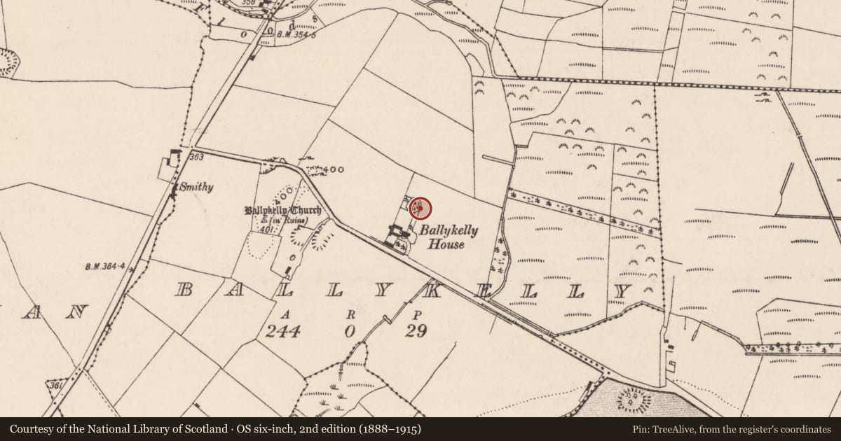 Ordnance Survey six-inch map, 2nd edition (1888–1915) covering the location of Designed landscape - tree-ring, Ballykelly (Ballysheehan Par.), County Tipperary South, with a pin at the register's coordinates