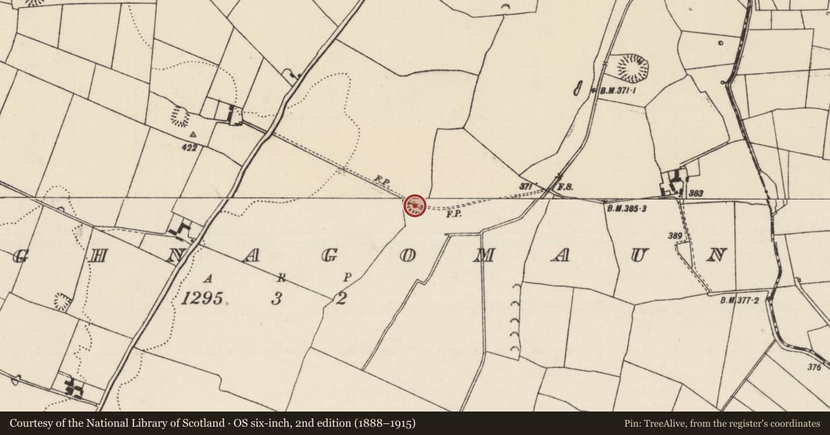 Ordnance Survey six-inch map, 2nd edition (1888–1915) covering the location of Enclosure, Aughnagomaun, County Tipperary South, with a pin at the register's coordinates