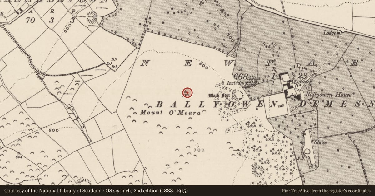 Ordnance Survey six-inch map, 2nd edition (1888–1915) covering the location of Enclosure, Newpark (Ballysheehan Par.), County Tipperary South, with a pin at the register's coordinates