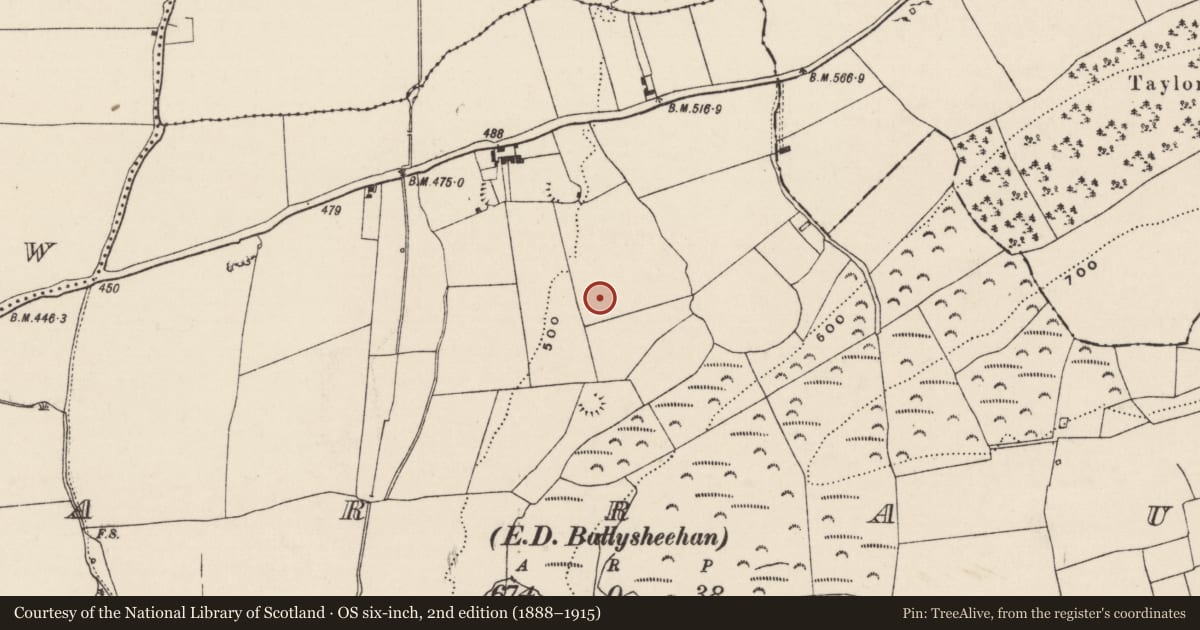 Ordnance Survey six-inch map, 2nd edition (1888–1915) covering the location of Ringfort - rath, Garraun (Ballysheehan Par.), County Tipperary South, with a pin at the register's coordinates
