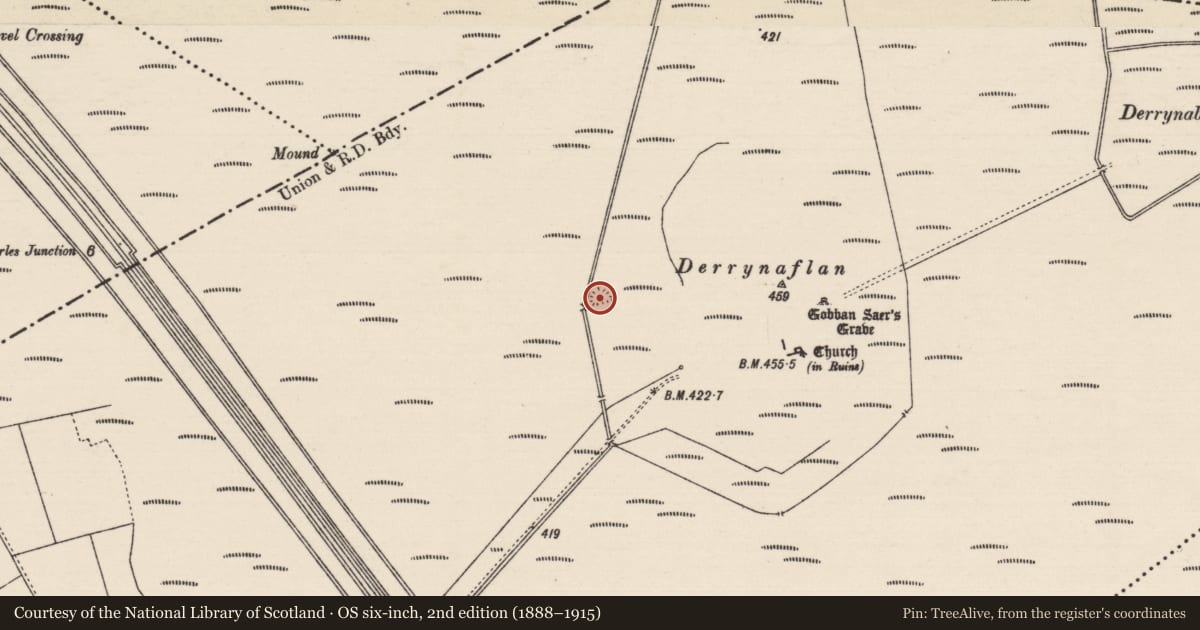 Ordnance Survey six-inch map, 2nd edition (1888–1915) covering the location of Enclosure, Lurgoe, County Tipperary South, with a pin at the register's coordinates
