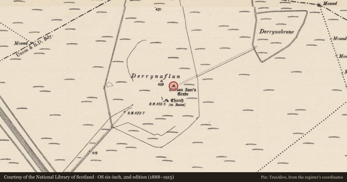 Ordnance Survey six-inch map, 2nd edition (1888–1915) covering the location of Graveslab, Lurgoe, County Tipperary South, with a pin at the register's coordinates