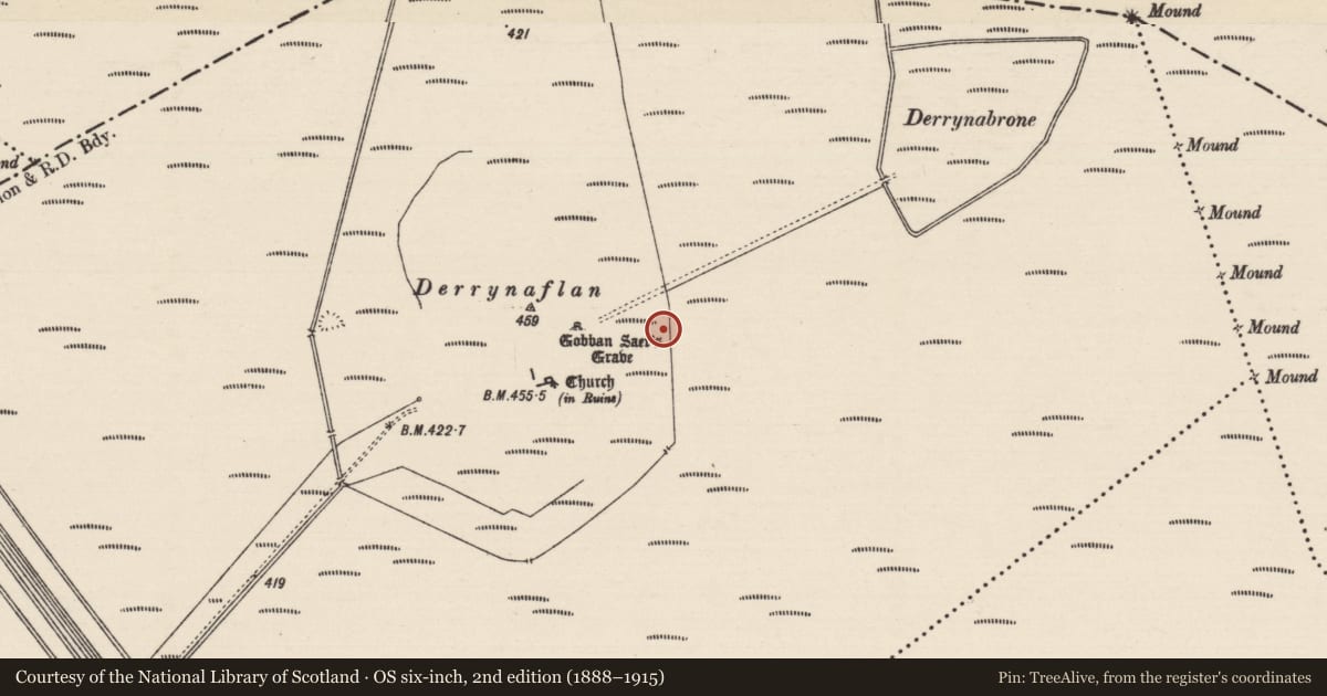 Ordnance Survey six-inch map, 2nd edition (1888–1915) covering the location of Burial ground, Lurgoe, County Tipperary South, with a pin at the register's coordinates