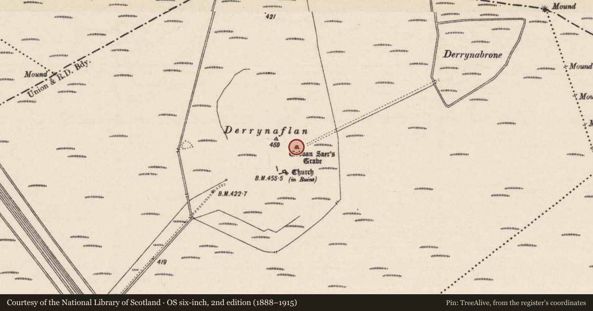 Ordnance Survey six-inch map, 2nd edition (1888–1915) covering the location of Graveslab, Lurgoe, County Tipperary South, with a pin at the register's coordinates