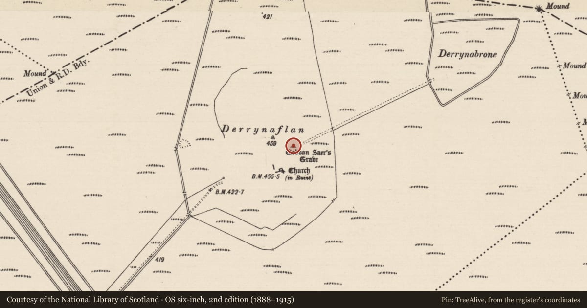Ordnance Survey six-inch map, 2nd edition (1888–1915) covering the location of Graveslab, Lurgoe, County Tipperary South, with a pin at the register's coordinates