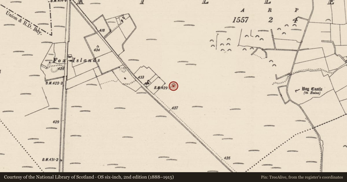 Ordnance Survey six-inch map, 2nd edition (1888–1915) covering the location of Mound, Killeen (Killenaule Par.), County Tipperary South, with a pin at the register's coordinates