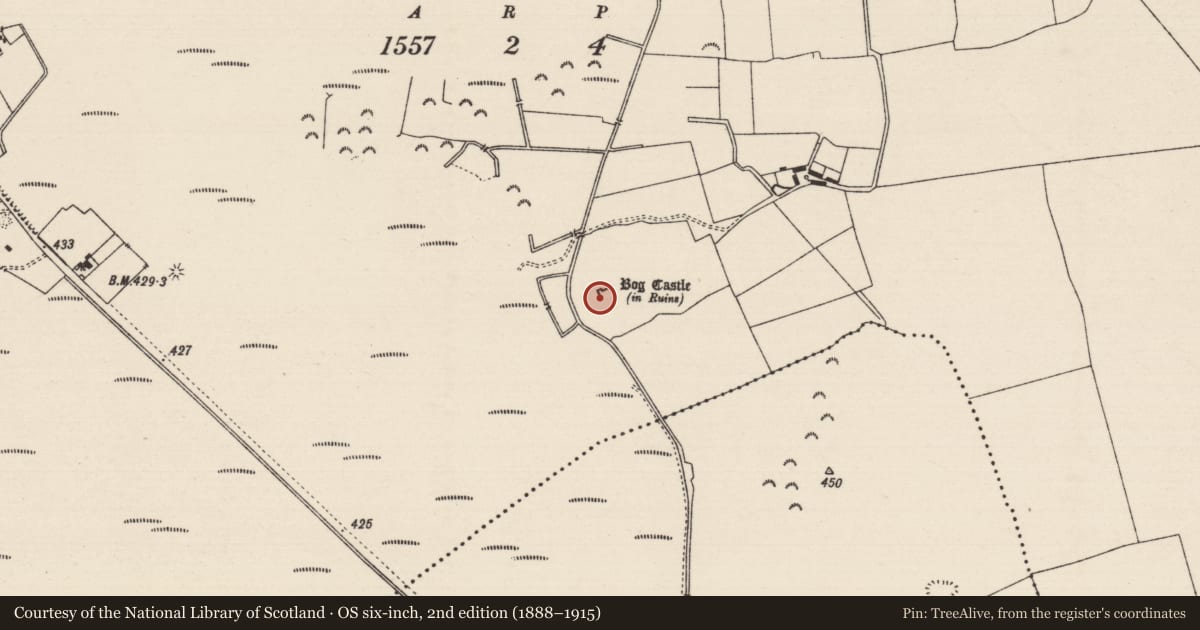 Ordnance Survey six-inch map, 2nd edition (1888–1915) covering the location of Castle - unclassified, Killeen (Killenaule Par.), County Tipperary South, with a pin at the register's coordinates
