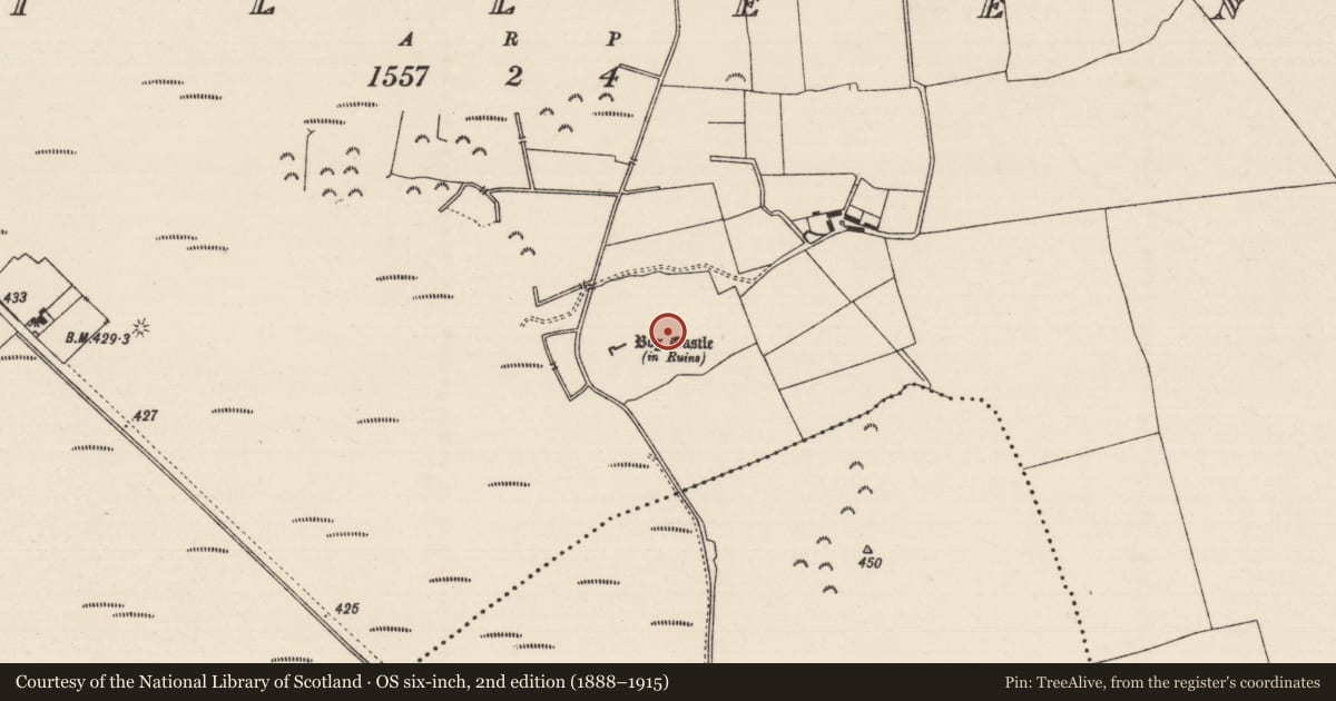 Ordnance Survey six-inch map, 2nd edition (1888–1915) covering the location of Settlement deserted - medieval, Killeen (Killenaule Par.), County Tipperary South, with a pin at the register's coordinates