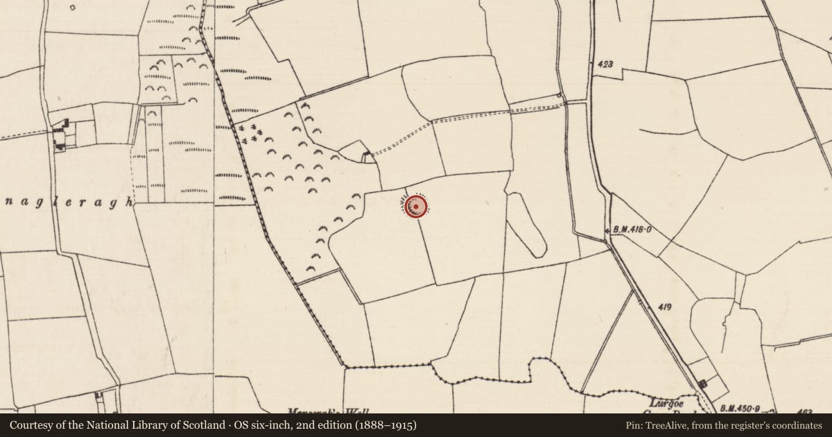 Ordnance Survey six-inch map, 2nd edition (1888–1915) covering the location of Ringfort - rath, Lurgoe, County Tipperary South, with a pin at the register's coordinates