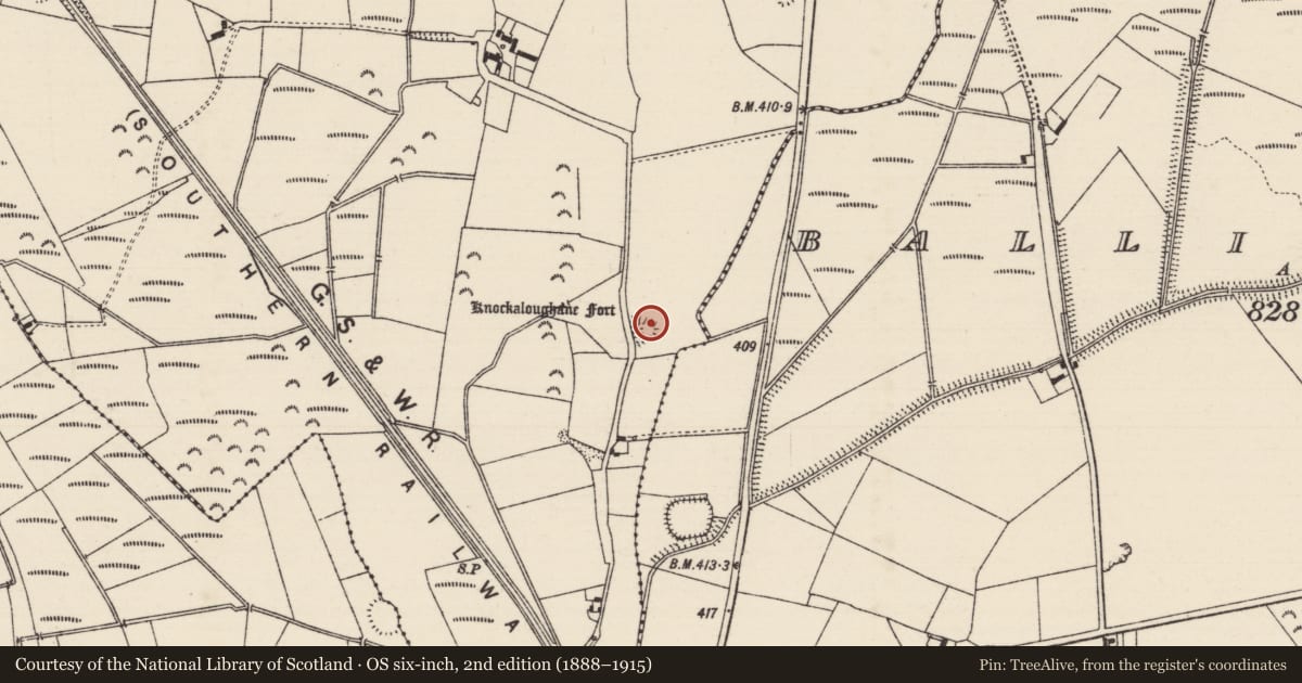 Ordnance Survey six-inch map, 2nd edition (1888–1915) covering the location of Ringfort - rath, Derricknew, County Tipperary South, with a pin at the register's coordinates