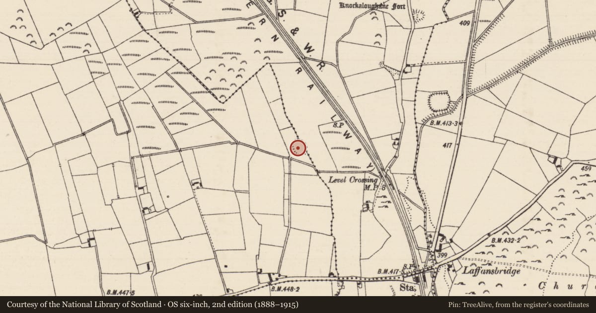 Ordnance Survey six-inch map, 2nd edition (1888–1915) covering the location of Ringfort - rath, Derricknew, Lurgoe, County Tipperary South, with a pin at the register's coordinates