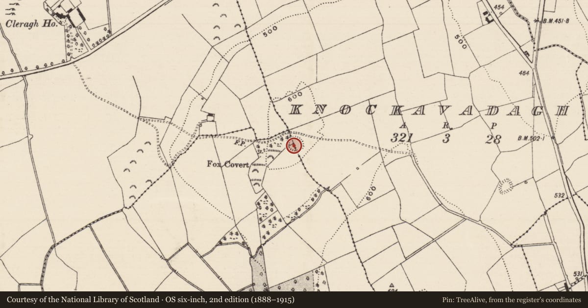 Ordnance Survey six-inch map, 2nd edition (1888–1915) covering the location of Enclosure, Knockavadagh, Springhill (Killenaule Par.), County Tipperary South, with a pin at the register's coordinates