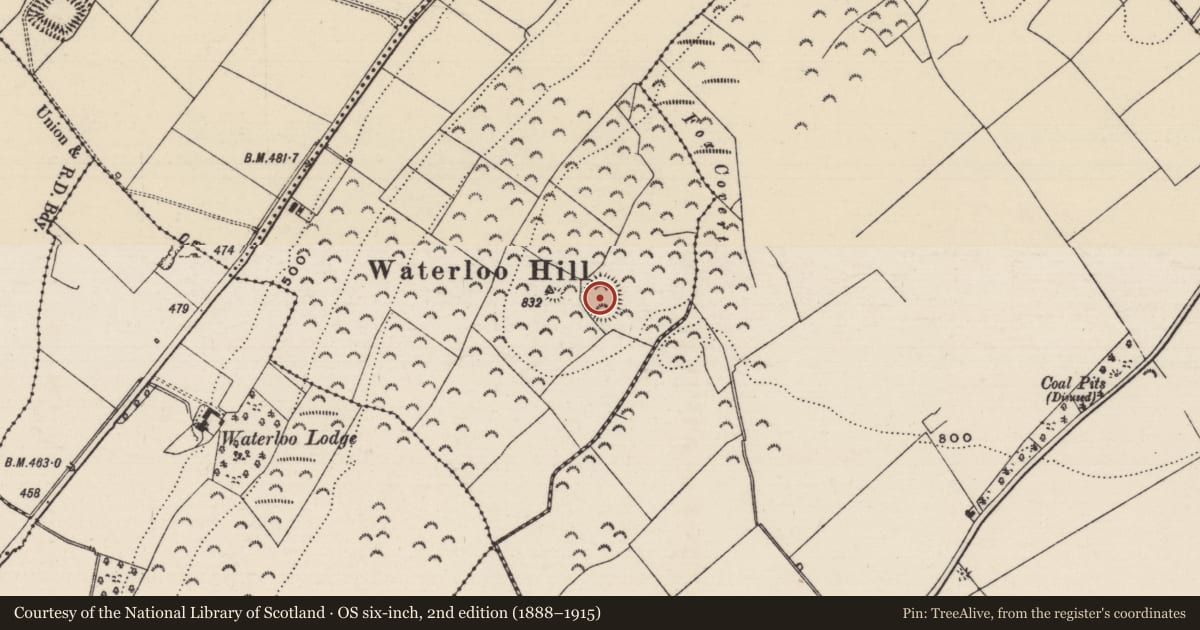 Ordnance Survey six-inch map, 2nd edition (1888–1915) covering the location of Ringfort - rath, Glengoole South, County Tipperary South, with a pin at the register's coordinates