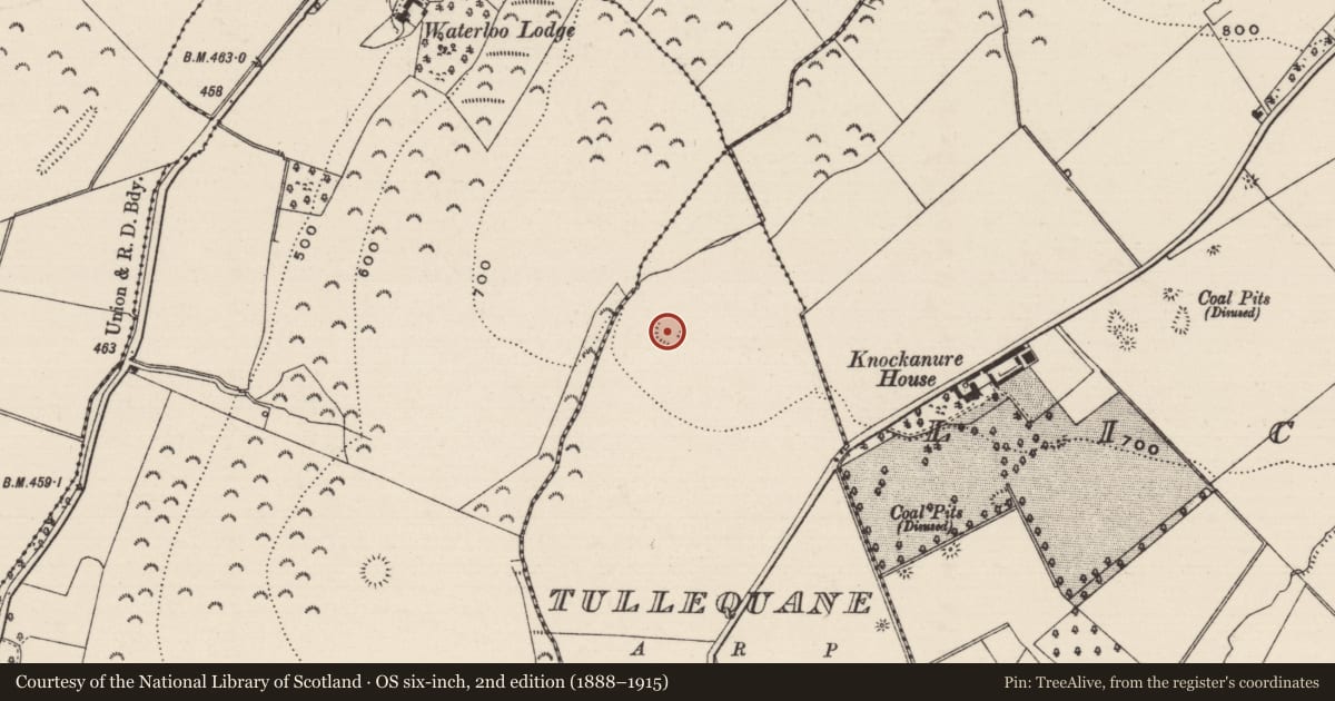 Ordnance Survey six-inch map, 2nd edition (1888–1915) covering the location of Enclosure, Tullequane, County Tipperary South, with a pin at the register's coordinates