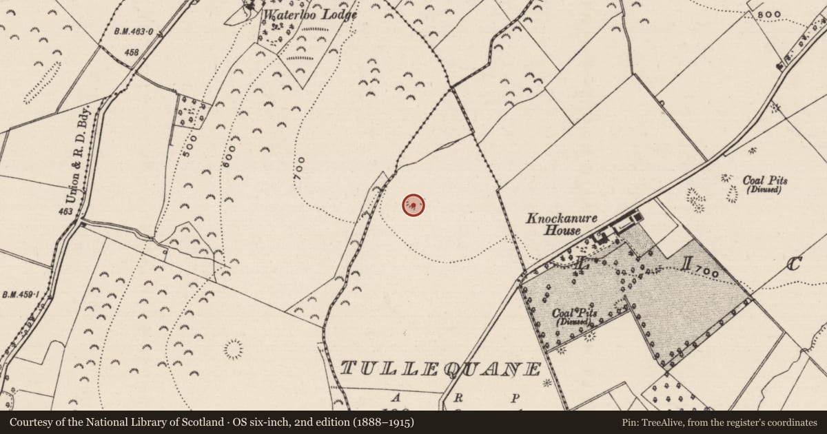 Ordnance Survey six-inch map, 2nd edition (1888–1915) covering the location of Megalithic structure, Tullequane, County Tipperary South, with a pin at the register's coordinates