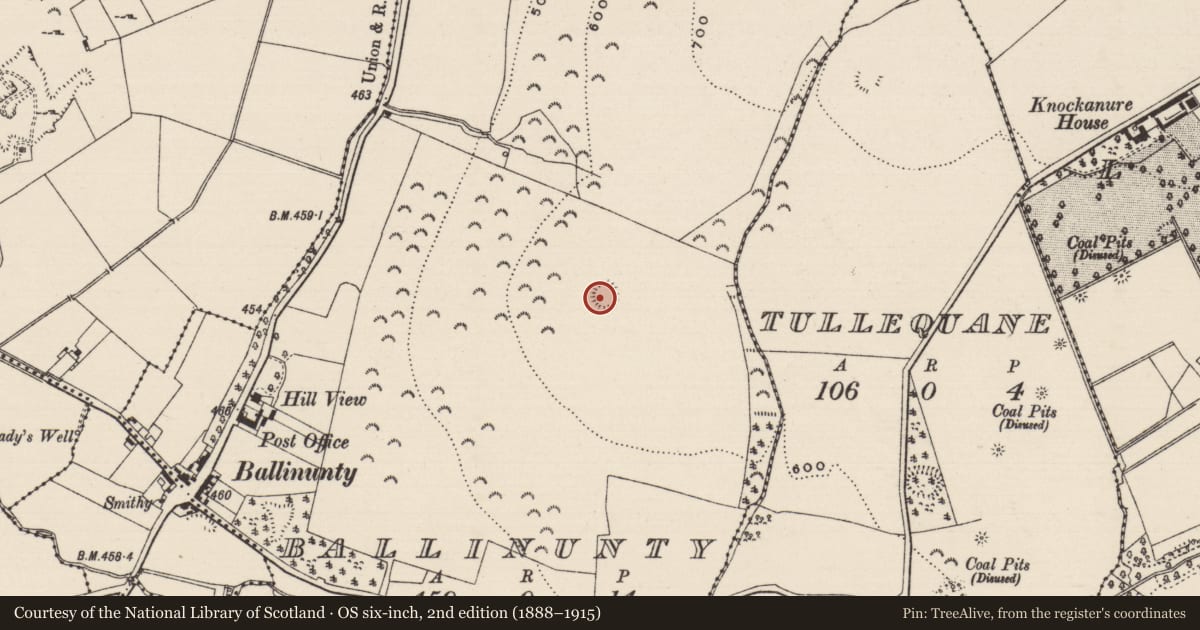 Ordnance Survey six-inch map, 2nd edition (1888–1915) covering the location of Ringfort - rath, Ballinunty (Kilcooly Par.), County Tipperary South, with a pin at the register's coordinates