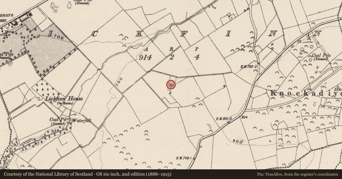 Ordnance Survey six-inch map, 2nd edition (1888–1915) covering the location of Ringfort - rath, Lickfinn (Crohane Par.), County Tipperary South, with a pin at the register's coordinates