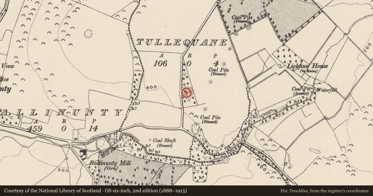 Ordnance Survey six-inch map, 2nd edition (1888–1915) covering the location of Megalithic structure, Tullequane, County Tipperary South, with a pin at the register's coordinates