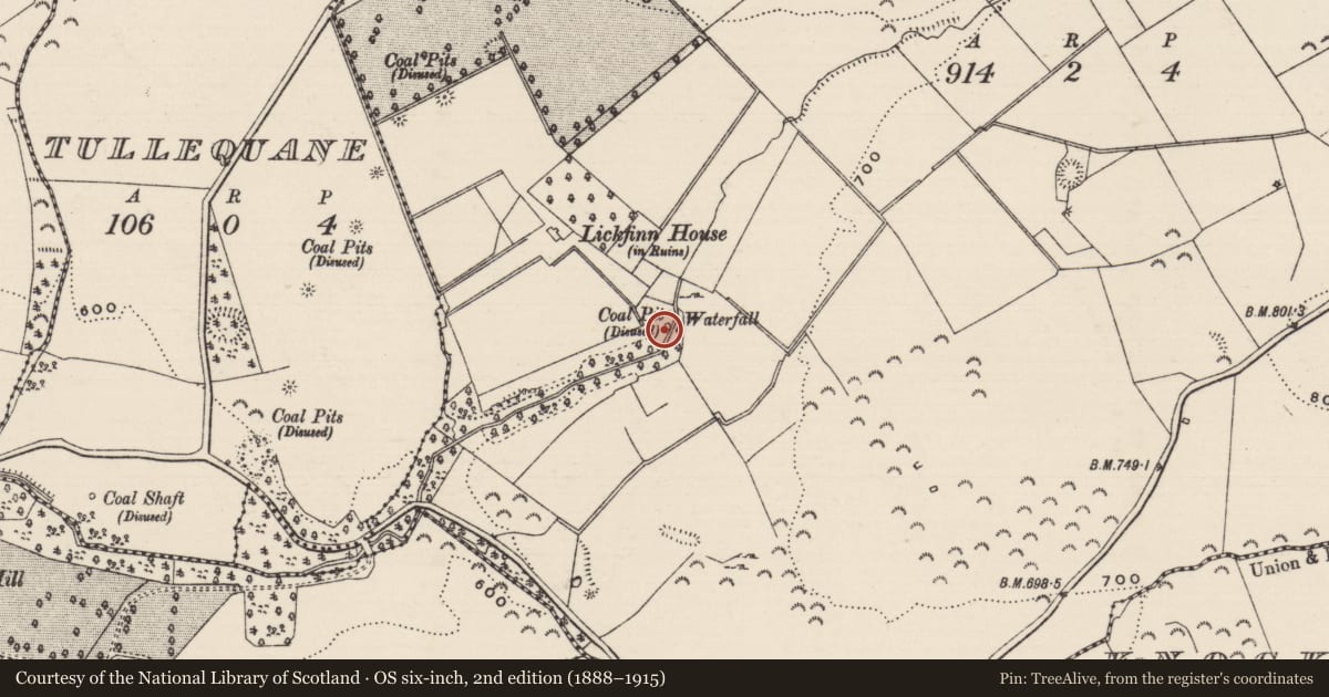 Ordnance Survey six-inch map, 2nd edition (1888–1915) covering the location of Water mill - unclassified, Lickfinn (Crohane Par.), County Tipperary South, with a pin at the register's coordinates
