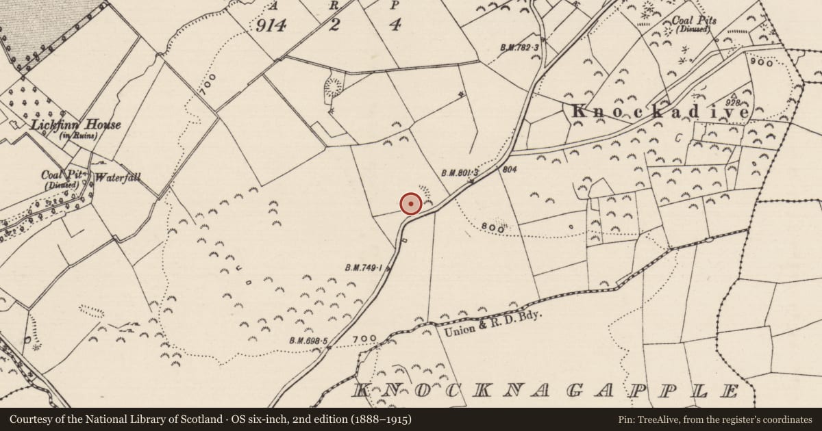 Ordnance Survey six-inch map, 2nd edition (1888–1915) covering the location of Enclosure, Lickfinn (Crohane Par.), County Tipperary South, with a pin at the register's coordinates