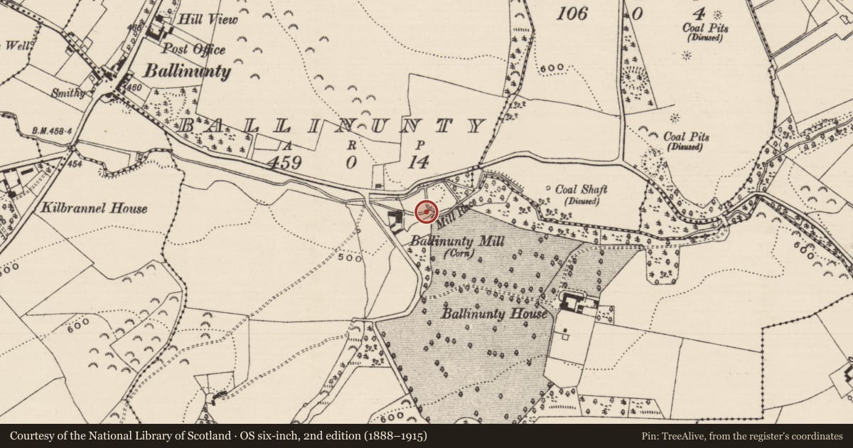 Ordnance Survey six-inch map, 2nd edition (1888–1915) covering the location of Water mill - unclassified, Ballinunty (Graystown Par.), County Tipperary South, with a pin at the register's coordinates