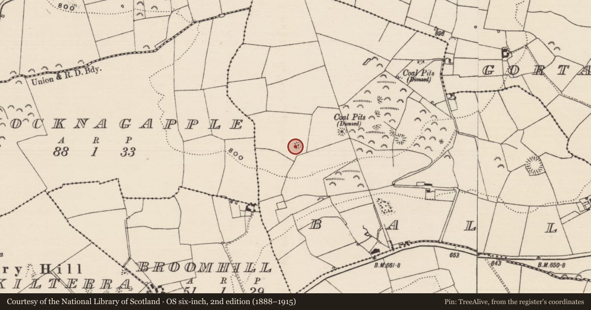 Ordnance Survey six-inch map, 2nd edition (1888–1915) covering the location of Barrow - mound barrow, Ballincurry (Crohane Par.), County Tipperary South, with a pin at the register's coordinates