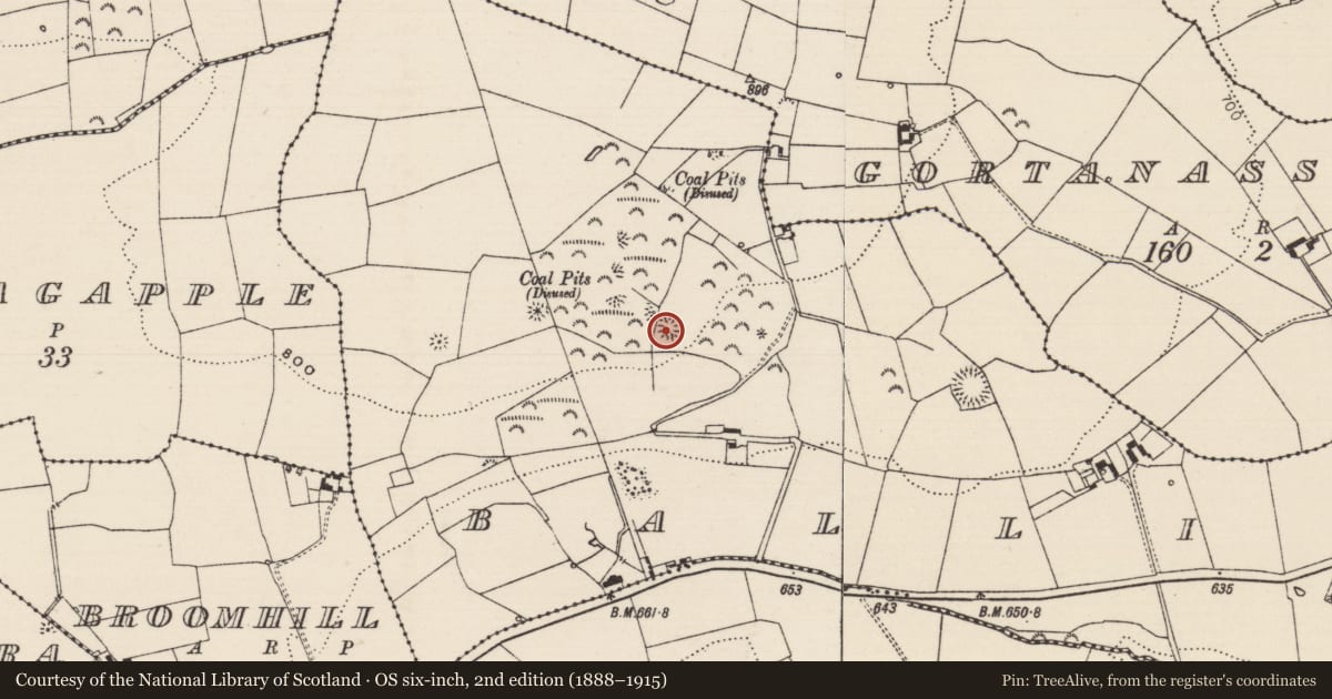Ordnance Survey six-inch map, 2nd edition (1888–1915) covering the location of Enclosure, Ballincurry (Crohane Par.), County Tipperary South, with a pin at the register's coordinates