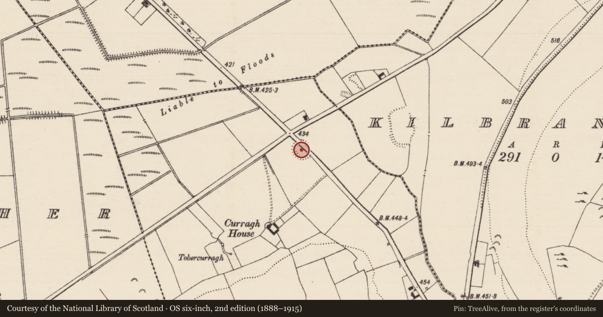 Ordnance Survey six-inch map, 2nd edition (1888–1915) covering the location of Ringfort - rath, Knockavadagh, County Tipperary South, with a pin at the register's coordinates