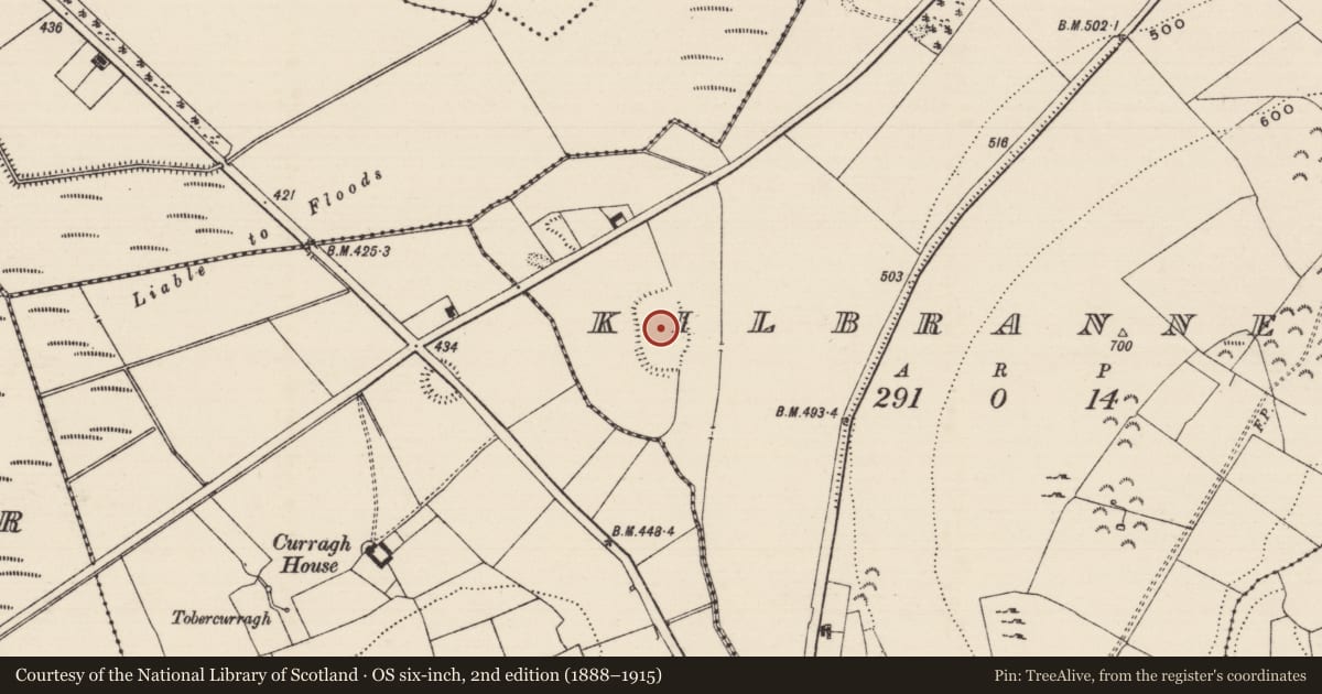 Ordnance Survey six-inch map, 2nd edition (1888–1915) covering the location of Enclosure, Kilbrannel, County Tipperary South, with a pin at the register's coordinates