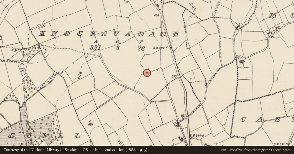 Ordnance Survey six-inch map, 2nd edition (1888–1915) covering the location of Moated site, Knockavadagh, County Tipperary South, with a pin at the register's coordinates
