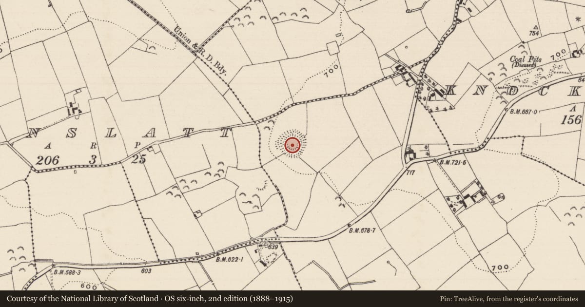 Ordnance Survey six-inch map, 2nd edition (1888–1915) covering the location of Castle - ringwork, Kilnahone, County Tipperary South, with a pin at the register's coordinates