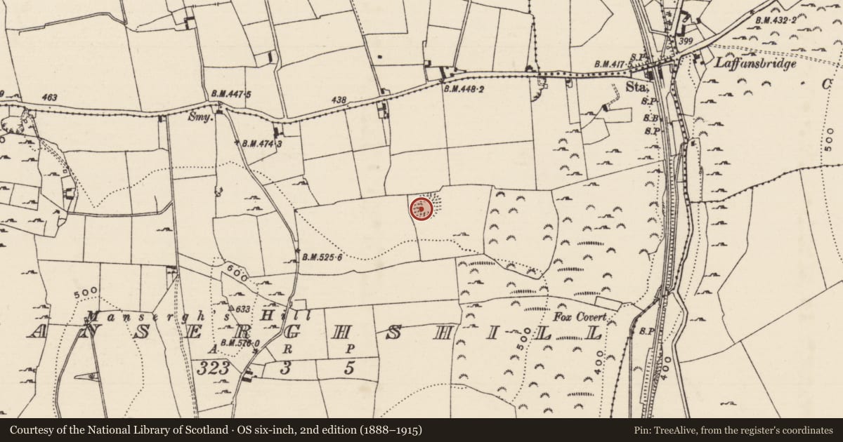 Ordnance Survey six-inch map, 2nd edition (1888–1915) covering the location of Ringfort - rath, Manserghshill, County Tipperary South, with a pin at the register's coordinates