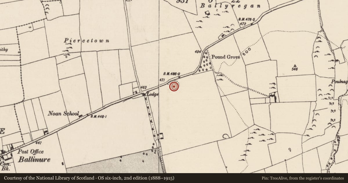 Ordnance Survey six-inch map, 2nd edition (1888–1915) covering the location of Ringfort - rath, Noan, County Tipperary South, with a pin at the register's coordinates
