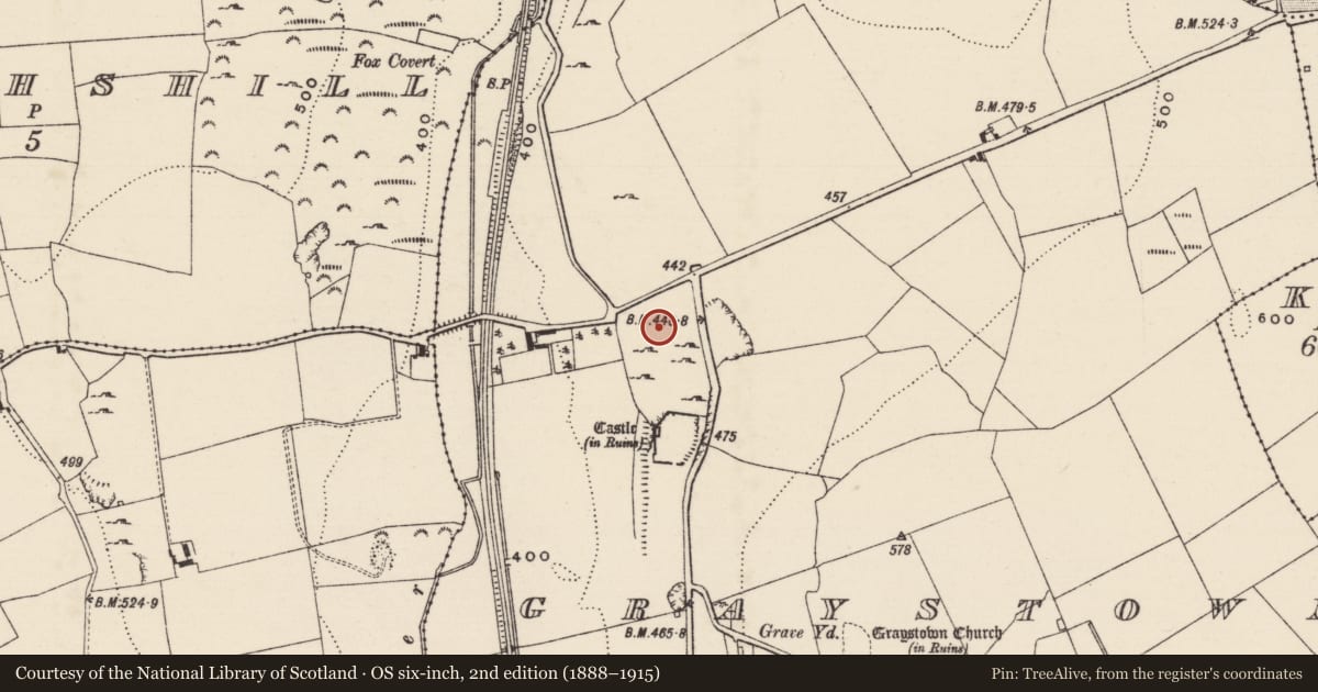 Ordnance Survey six-inch map, 2nd edition (1888–1915) covering the location of Road - road/trackway, Graystown, County Tipperary South, with a pin at the register's coordinates