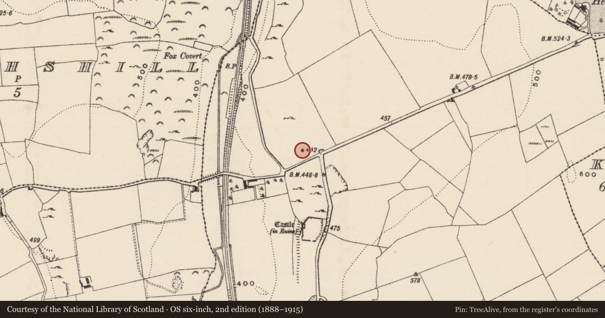 Ordnance Survey six-inch map, 2nd edition (1888–1915) covering the location of Building, Graystown, County Tipperary South, with a pin at the register's coordinates