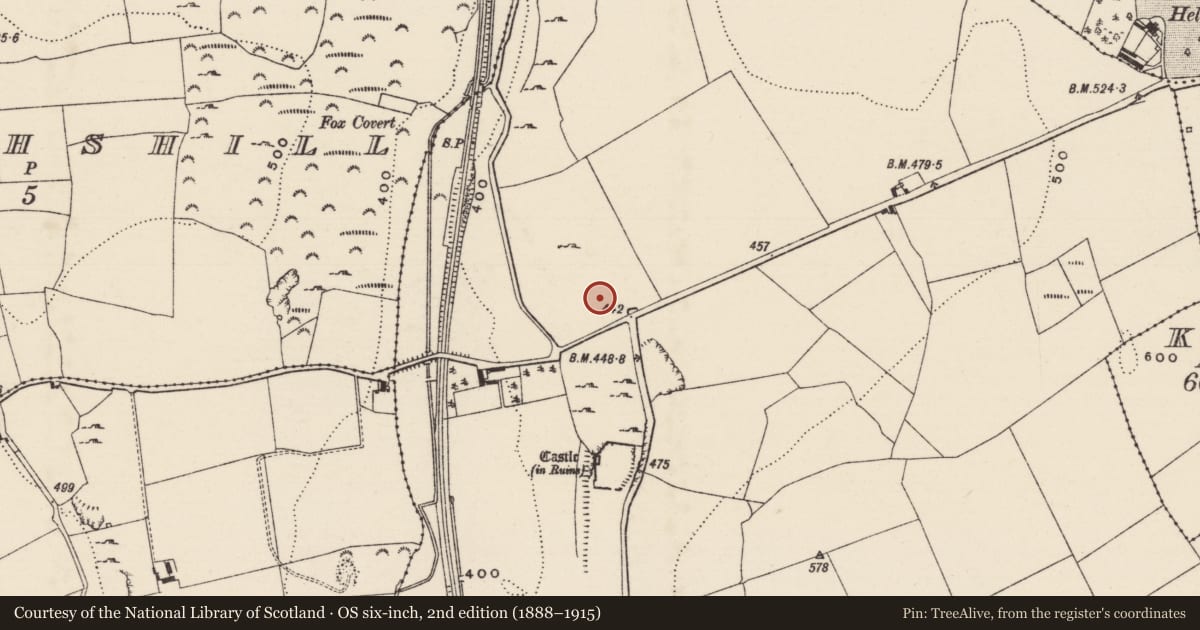 Ordnance Survey six-inch map, 2nd edition (1888–1915) covering the location of Bawn, Graystown, County Tipperary South, with a pin at the register's coordinates
