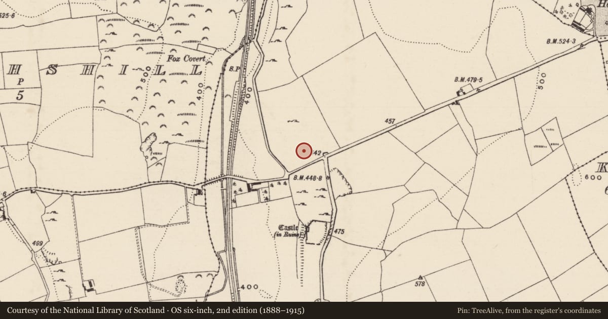 Ordnance Survey six-inch map, 2nd edition (1888–1915) covering the location of Building, Graystown, County Tipperary South, with a pin at the register's coordinates