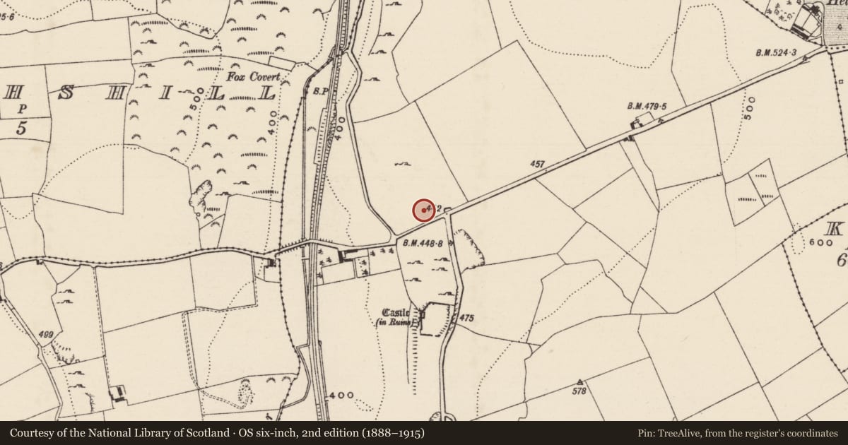 Ordnance Survey six-inch map, 2nd edition (1888–1915) covering the location of Building, Graystown, County Tipperary South, with a pin at the register's coordinates