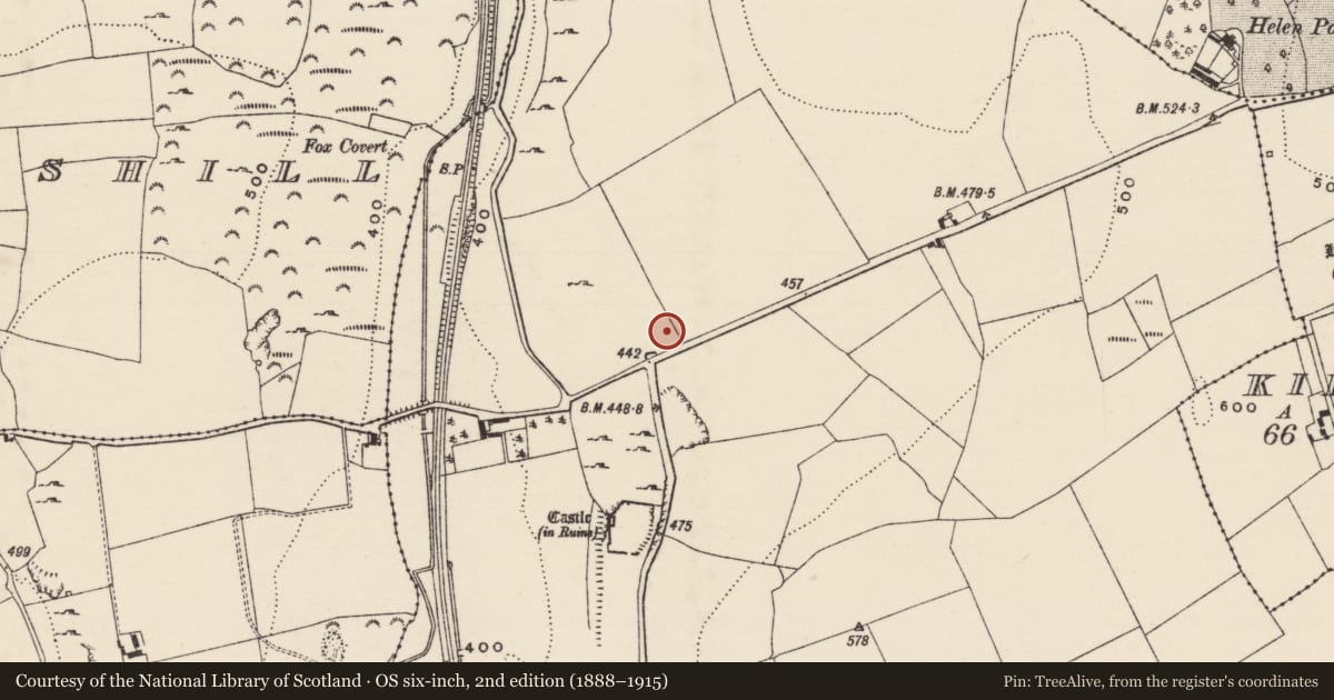 Ordnance Survey six-inch map, 2nd edition (1888–1915) covering the location of House - 17th century, Graystown, County Tipperary South, with a pin at the register's coordinates