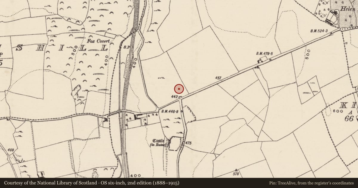 Ordnance Survey six-inch map, 2nd edition (1888–1915) covering the location of Bawn, Graystown, County Tipperary South, with a pin at the register's coordinates