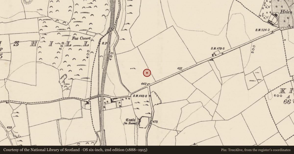 Ordnance Survey six-inch map, 2nd edition (1888–1915) covering the location of Building, Graystown, County Tipperary South, with a pin at the register's coordinates