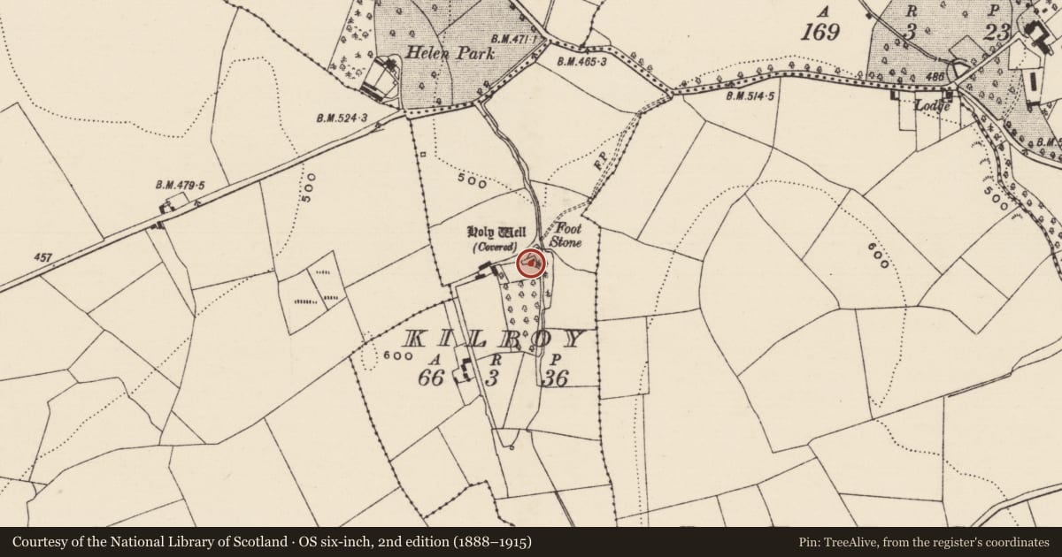 Ordnance Survey six-inch map, 2nd edition (1888–1915) covering the location of Ritual site - holy well, Kilboy (Graystown Par.), County Tipperary South, with a pin at the register's coordinates